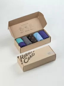 Набор из 5 пар мужских носков "Нева-Сокс", НС-5-НМ202, "Ментоловый гонщик"