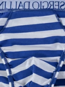 Мужские трусы-слипы Sergio Dallini, SG2935-1, СИНЕ-БЕЛЫЕ