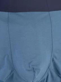 Мужские трусы-боксеры из модала Sergio Dallini, SD2908-6, СВЕТЛО-СЕРЫЕ