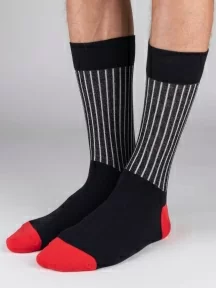 Набор из 5 пар мужских носков "Нева-Сокс", НС-5-НМ220, микс "Снегири прилетели"