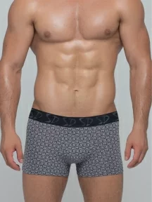 Мужские трусы-боксеры SD (by Salvador Dali), SD2023-1, СЕРЫЕ