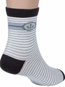 Набор для мальчиков из 10 пар носков LORENZline, Л65-10, микс