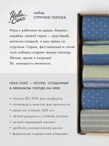 Набор из 5 пар мужских носков "Нева-Сокс" "Стручок гороха" (НС-5-НМ54)