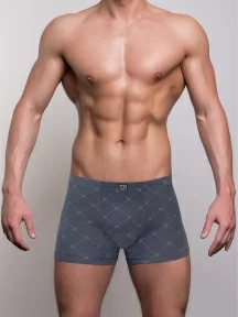 Мужские трусы-боксеры SD (by Salvador Dali), SD1104-2, СЕРЫЕ