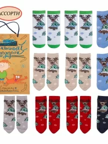 Набор из 10 пар детских махровых носков LORENZline, Л47-10, микс