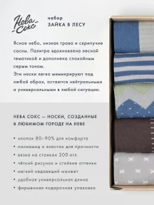 Набор из 5 пар мужских носков "Нева-Сокс" "Зайка в лесу" (НС-5-НМ50)