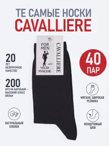 Комплект из 40 пар мужских носков CAVALLIERE (RuSocks) Темно-серый (С-330/1-40)