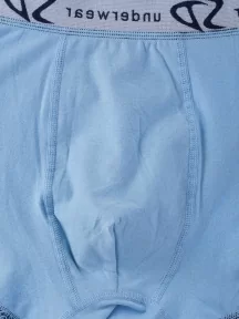 Мужские трусы-боксеры SD (by Salvador Dali), SD2055-1, ГОЛУБЫЕ