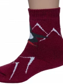 Детские махровые носки Альтаир, С129, БОРДОВЫЕ