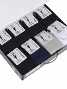 Набор из 24 пар мужских носков "Cavalliere" (RuSocks), CR-24, микс