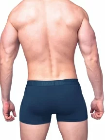 Мужские трусы-боксеры из вискозы Tuosite, TS7801-3, ТЕМНО-ИЗУМРУДНЫЕ