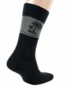 Мужские носки из вискозы ХОХ, X-1202, ЧЕРНЫЕ