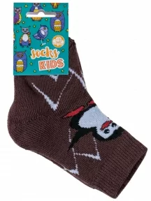 Детские махровые носки Альтаир, С129, КОРИЧНЕВЫЕ
