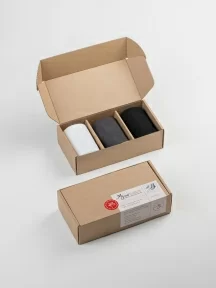 Набор из 3 пар мужских носков MSCLUB, 3-ПН-01, микс 2