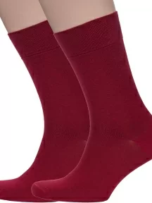 Комплект из 2 пар мужских носков DiWaRi, 2-5С-08СП, рис. 000, БОРДОВЫЕ