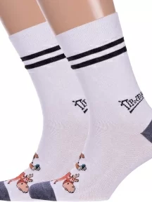 Комплект из 2 пар мужских носков Брестские (БЧК), 2-23С2153, рис. 488, БЕЛЫЕ