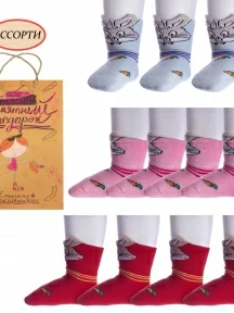 Набор для девочек из 10 пар махровых носков LORENZline, Л3-10, микс 2