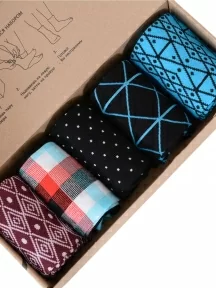 Набор из 5 пар мужских носков "Нева-Сокс", НС-5-НМ217, микс "Свободный архитектор"