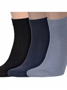 Комплект из 3 пар мужских носков Брестские (БЧК), 3-14С2124, микс 4