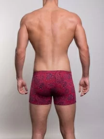 Мужские бамбуковые трусы-боксеры SD (by Salvador Dali), SD2042-3, КРАСНЫЕ