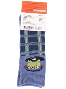 Детские махровые носки Брестские (БЧК), 14С3060, рис. 4026, ДЖИНСОВЫЕ