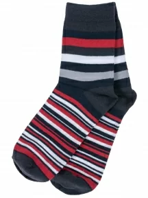 Детские носки "Красная ветка", С-1747, ТЕМНО-СИНИЕ