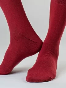 Набор из 3 пар мужских носков MSCLUB, 3-ПН-01, БОРДОВЫЕ