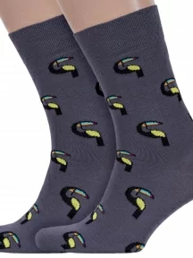 Комплект из 2 пар мужских носков DiWaRi, 2-17С-151СП, рис. 081, ТЕМНО-СЕРЫЕ