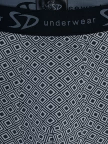 Мужские трусы-боксеры SD (by Salvador Dali), SD2017-2, СЕРЫЕ