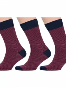 Комплект из 3 пар мужских носков MSCLUB №М34, msk3-М34, nm-374, БОРДОВЫЕ в тонкую полоску