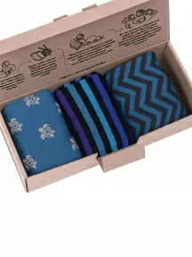 Набор из 3 пар мужских носков MSCLUB, ВИМ3-29-41, микс