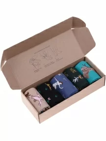 Набор из 5 пар мужских носков MSCLUB №М48, ВИ5-НМ48, микс 1