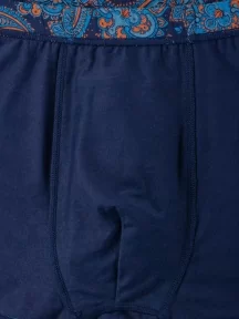 Мужские бамбуковые трусы-боксеры SD (by Salvador Dali), SD2042-2, СИНИЕ