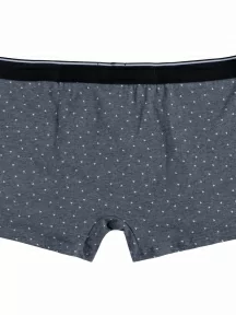 Мужские трусы-боксеры Tuosite, TS7824-2, СЕРЫЕ