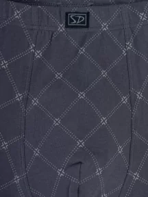 Мужские трусы-боксеры SD (by Salvador Dali), SD1104-2, СЕРЫЕ