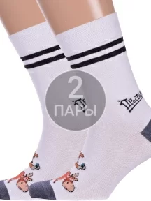 Комплект из 2 пар мужских носков Брестские (БЧК) рис. 488, БЕЛЫЕ (2-23С2153)