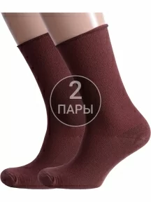 Комплект из 2 пар мужских носков Альтаир, 2-С198, ШОКОЛАД
