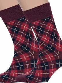 Комплект из 2 пар мужских носков MSCLUB №М33, 2-nm-357, БОРДОВЫЕ