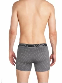 Мужские удиненные трусы-боксеры Tuosite, TS7823-1, СЕРЫЕ