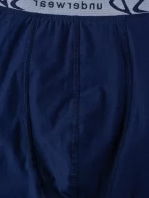 Мужские трусы-боксеры SD (by Salvador Dali), SD2053-2, СИНИЕ