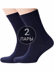 Комплект из 2 пар мужских носков Брестские (БЧК), 2-14С2122, рис. 000, ТЕМНО-СИНИЕ