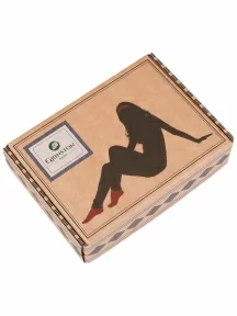 Набор из 8 пар женских бамбуковых носков (ТМ Grinston socks), PG-17D2-8, микс 2