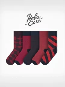 Набор из 5 пар мужских носков "Нева-Сокс", НС-5-НМ34, микc "Дипломат"