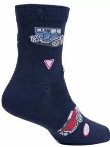 Набор для мальчиков из 10 пар носков LORENZline, Л64-10, микс 2