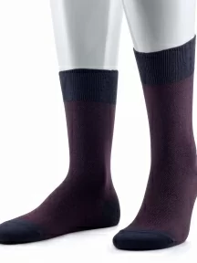 Мужские носки Sergio Di Calze (PINGONS), 15SC3, БОРДОВЫЕ