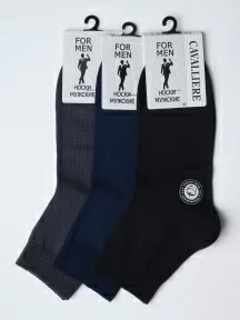 Комплект из 3 пар мужских носков CAVALLIERE (RuSocks), 3-С-333, микс 1