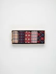 Набор из 5 пар мужских носков "Нева-Сокс", НС-5-НМ30, микс "Джентельмены"