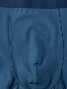 Мужские трусы-боксеры из модала Sergio Dallini, SD2901-4, СИНИЕ