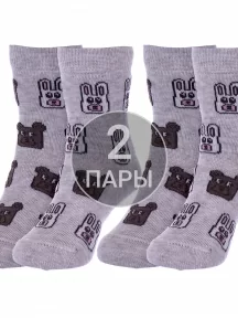 Комплект из 2 пар детских носков Conte kids, 2-17С-10СП, рис. 934, СВЕТЛО-СЕРЫЕ