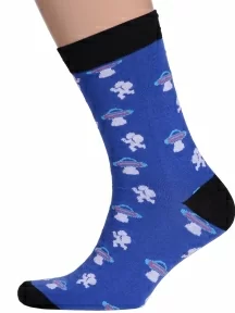 Набор из 5 пар мужских носков Flappers Peppers, 5-1МБ19-13, микс